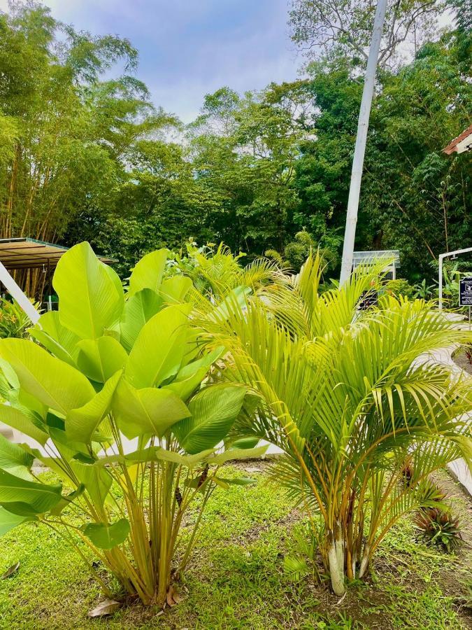 Grand Park Manuel Antonio Hotell Quepos Exteriör bild